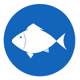 Pesce e derivati 
